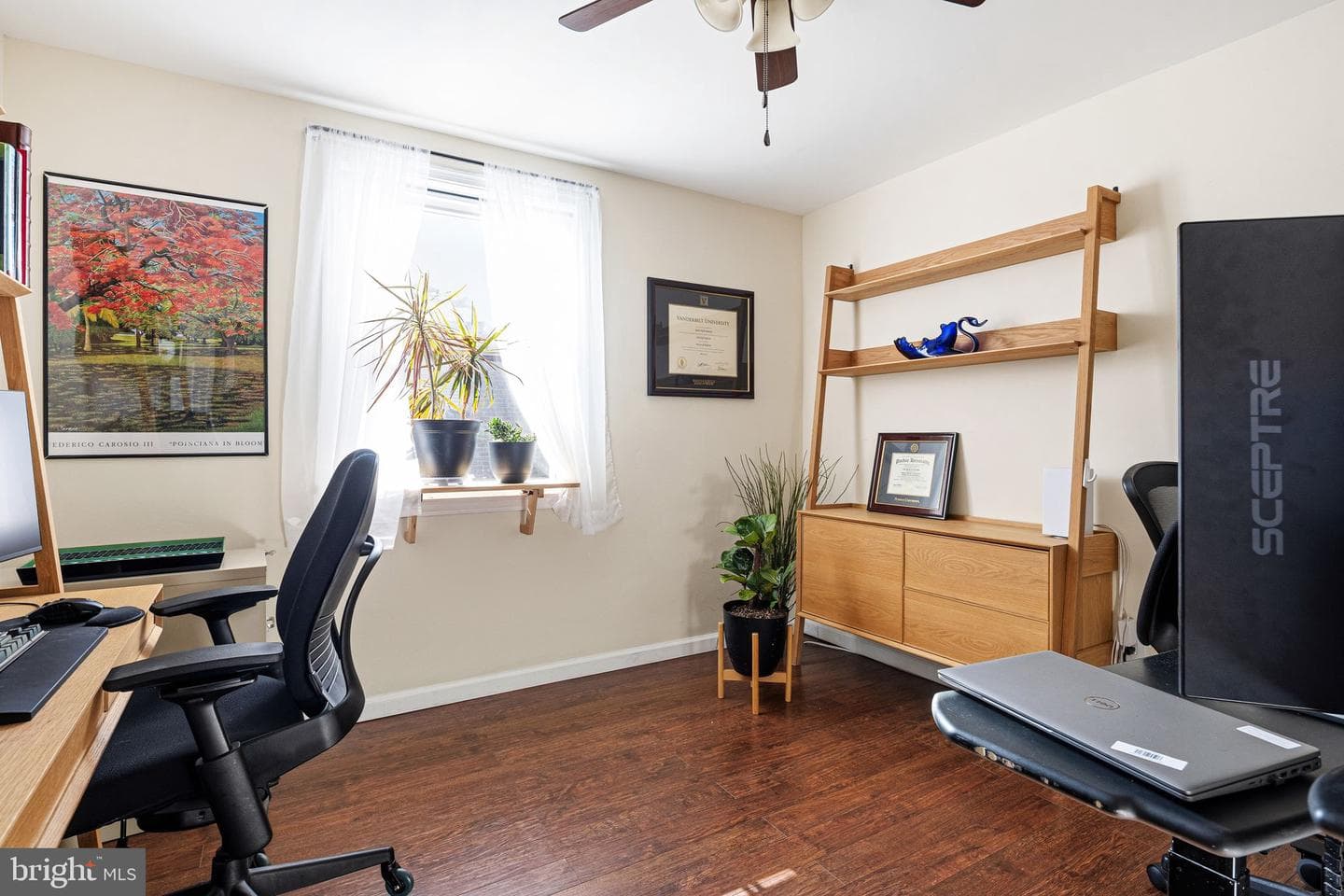 7265 Hill Road photo 19
