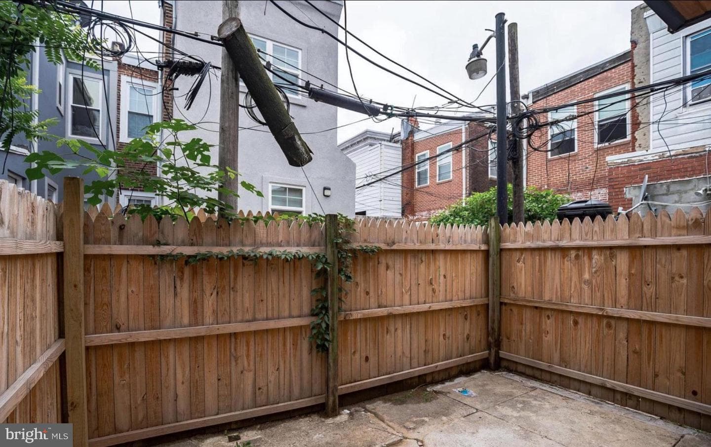 2046 E Stella Street photo 17