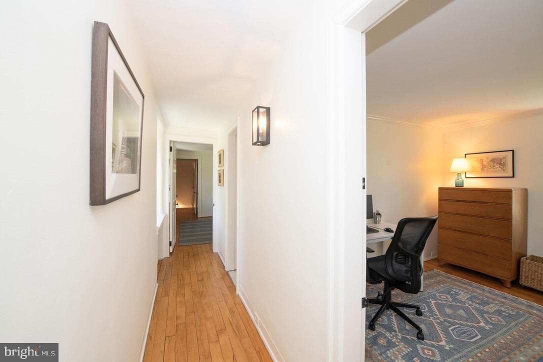 8830 Towanda Street/ Aka 505 W.Chestnut Hill Avenue photo 40