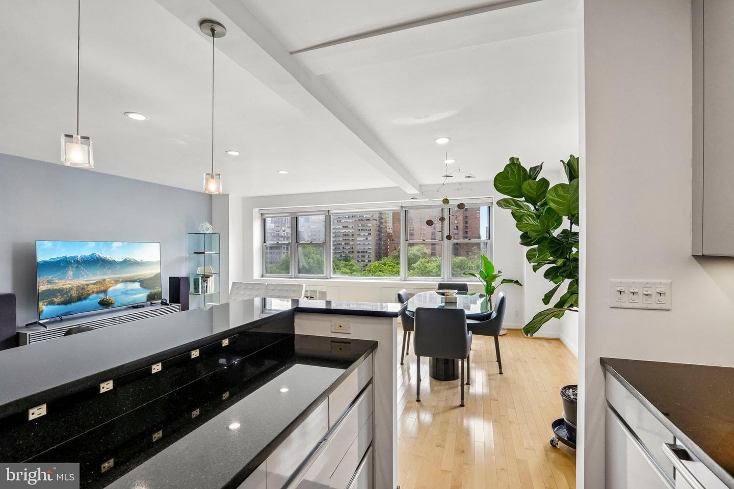 220 W Rittenhouse Square #10c photo 17