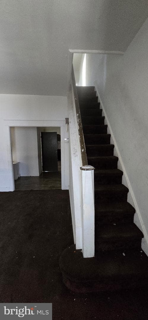 4455 Greene Street photo 3