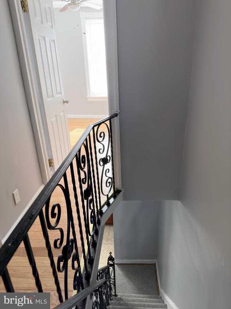 338 Snyder Avenue photo 22