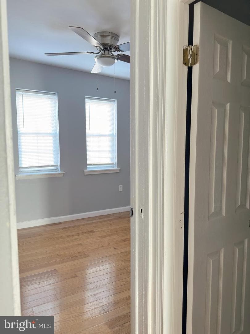 338 Snyder Avenue photo 23
