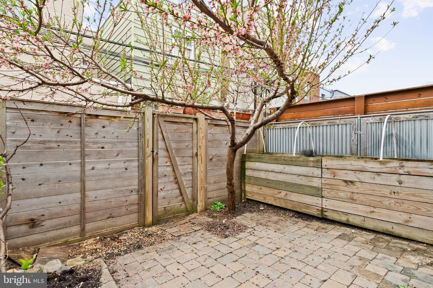 1120 Mckean Street photo 21