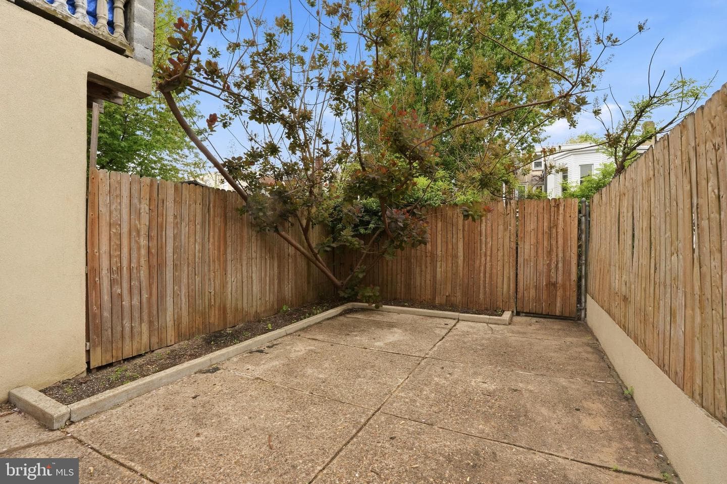 2051 E Fletcher Street photo 24