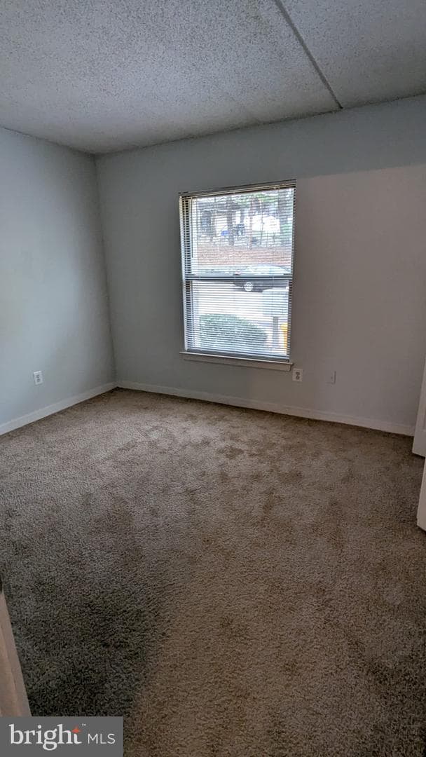 405 Shawmont Avenue #d photo 44