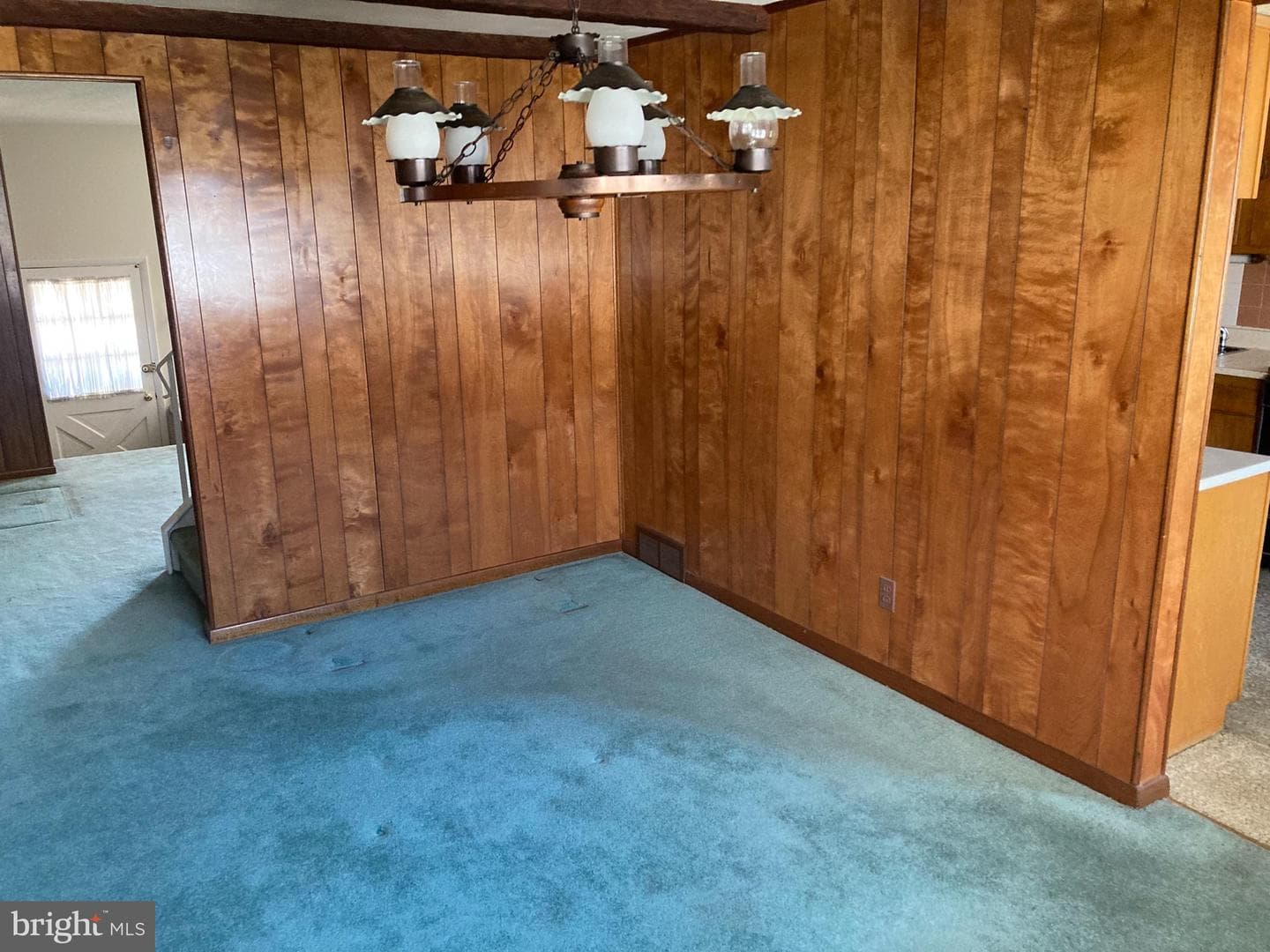 11116 Drake Drive photo 5