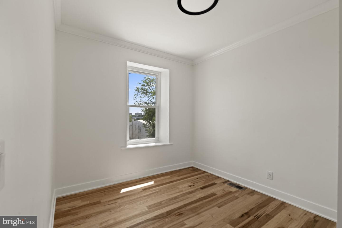 174 Lauriston Street photo 42
