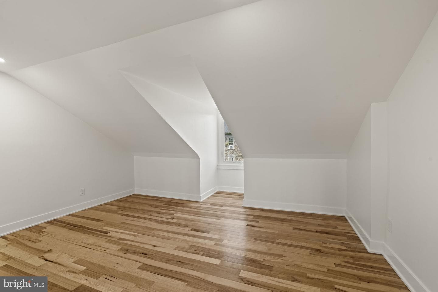 174 Lauriston Street photo 46