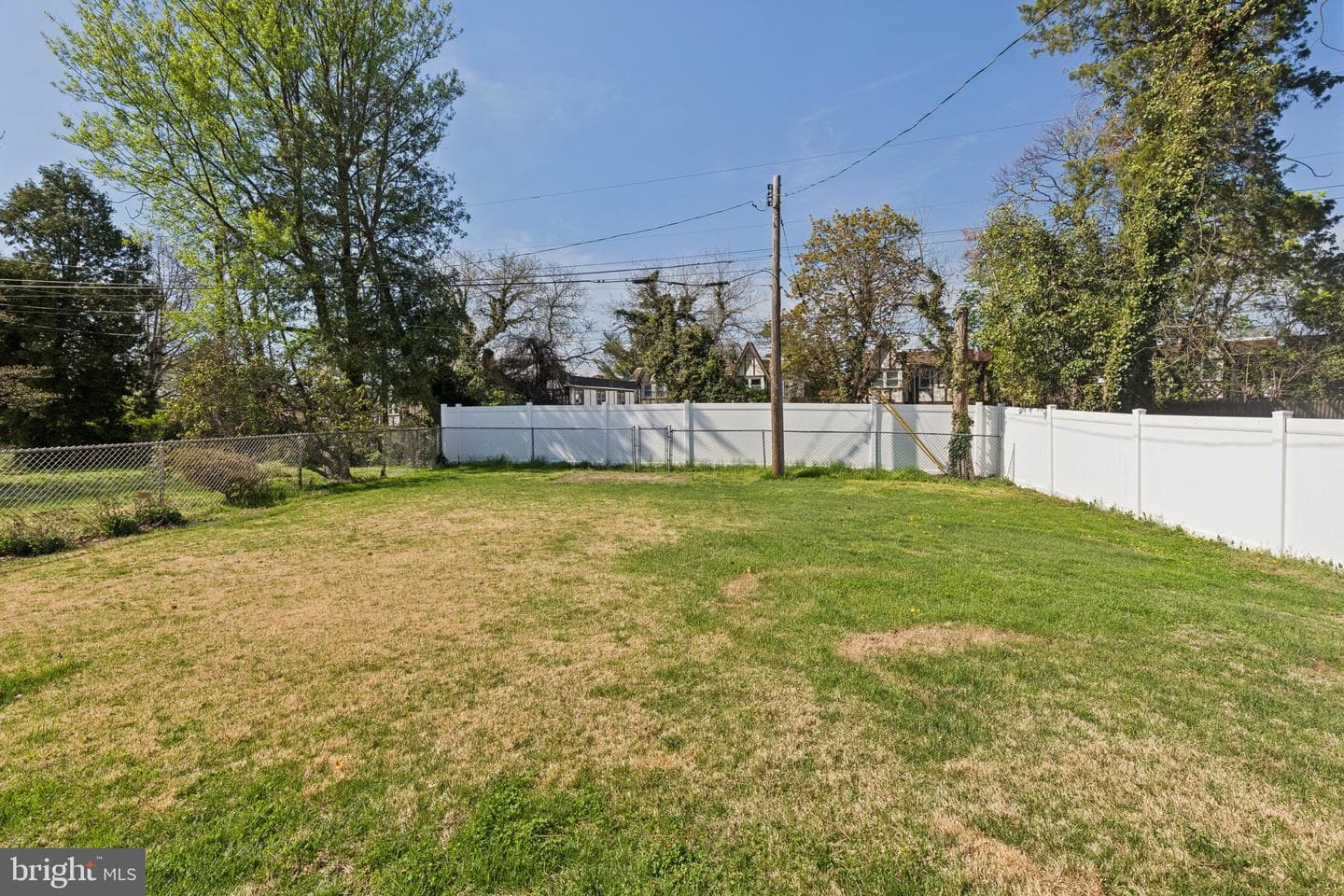 6622 Ardleigh Street photo 21