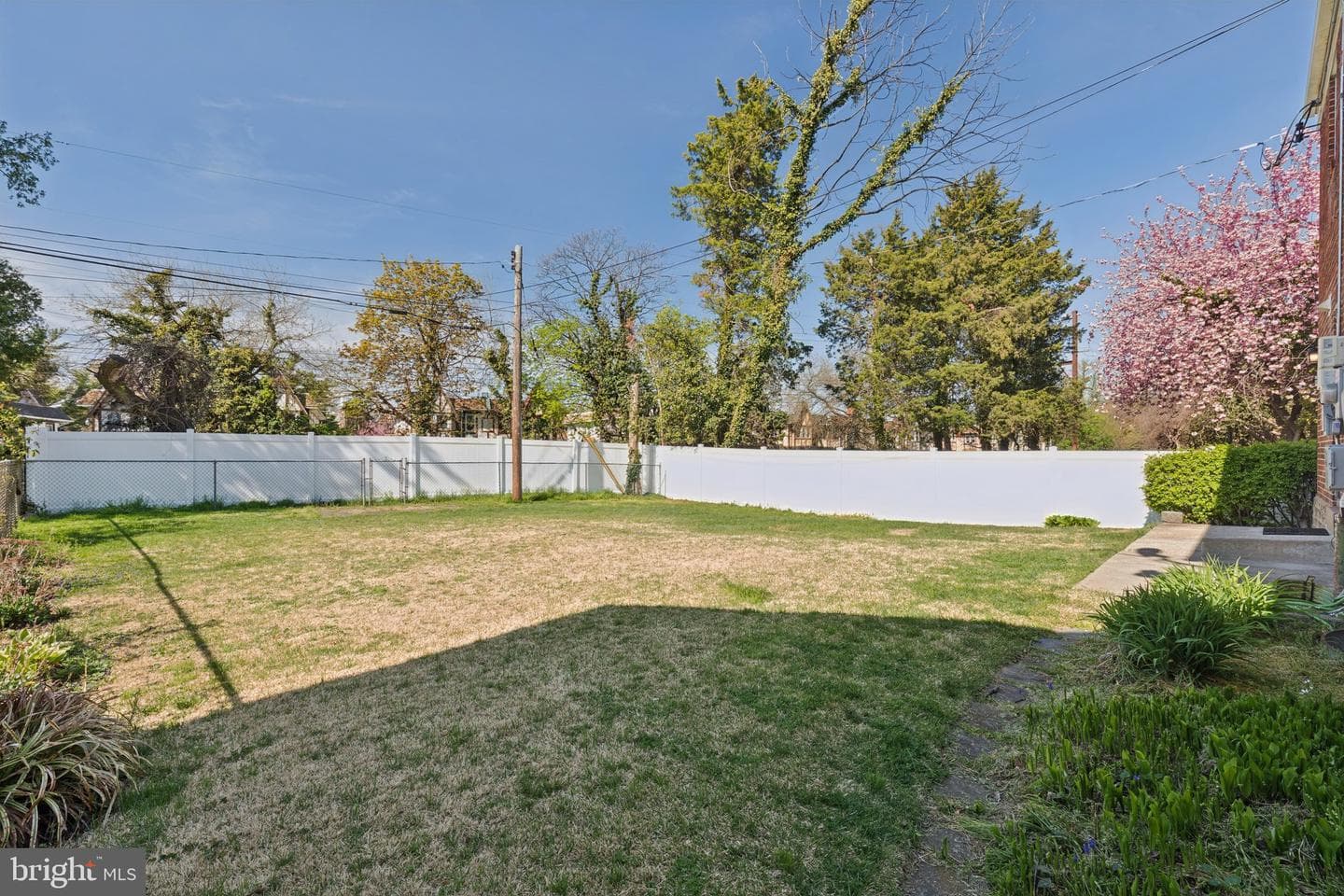 6622 Ardleigh Street photo 7