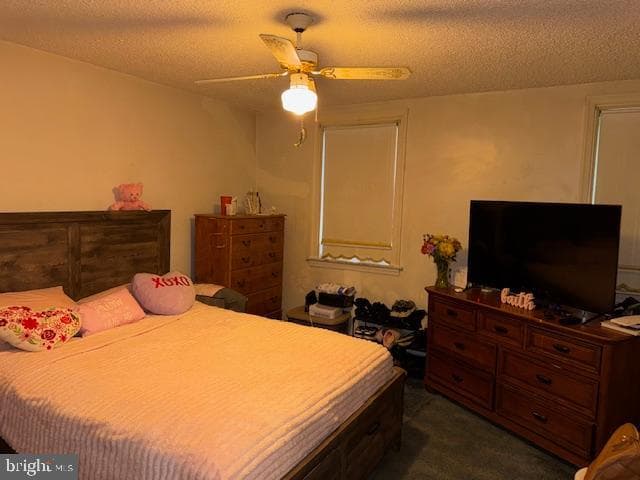 2936 Levick Street photo 5