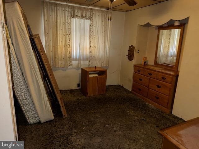 3141 Salmon Street photo 5