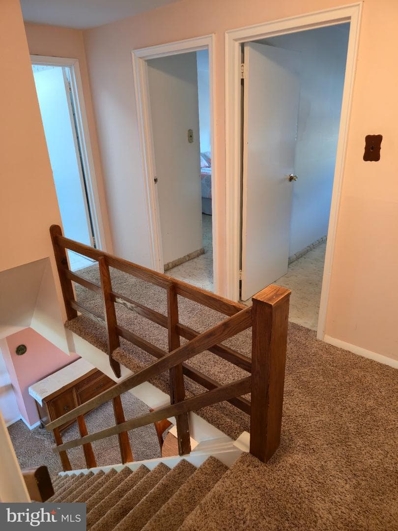 3616 Sussex photo 13