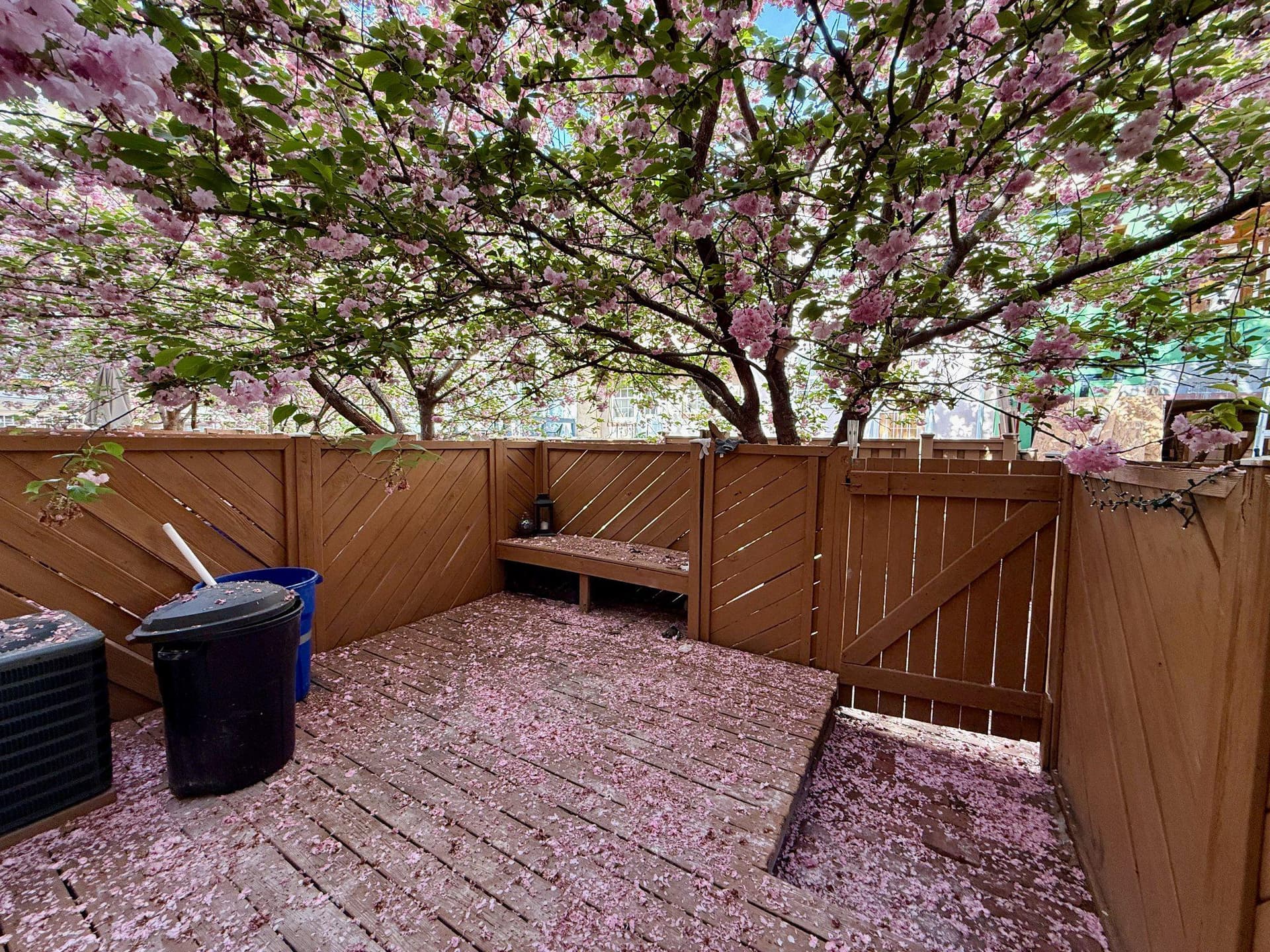256 S Alder Street photo 5