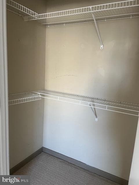 815 Arch Street #502 photo 9