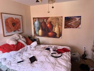 229 E Price Street photo 29