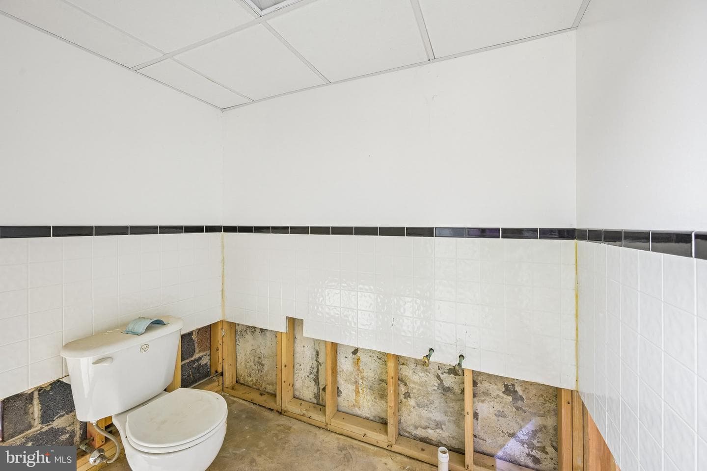 12209 Thornton Road photo 16