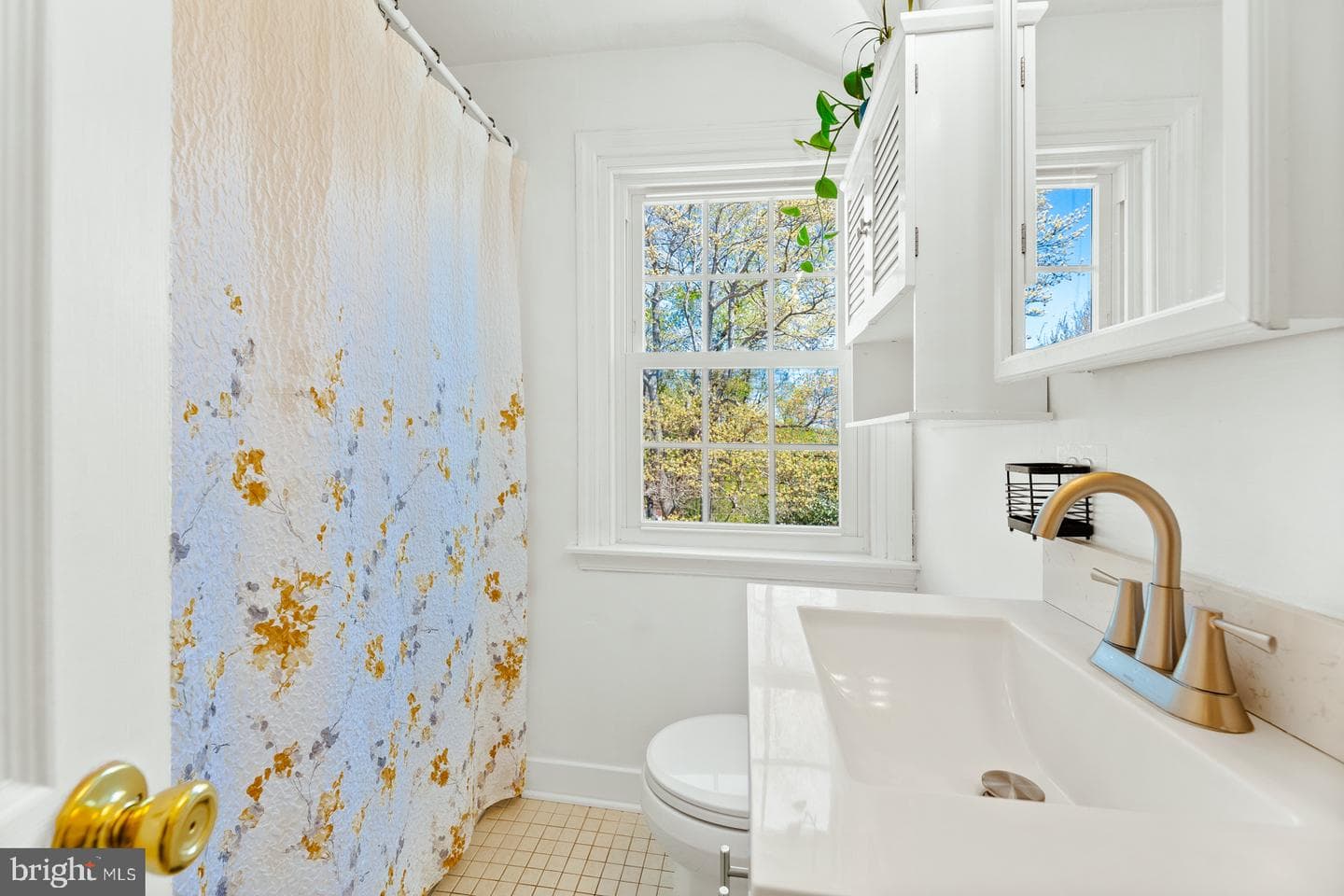7709 Keiffer Street photo 21