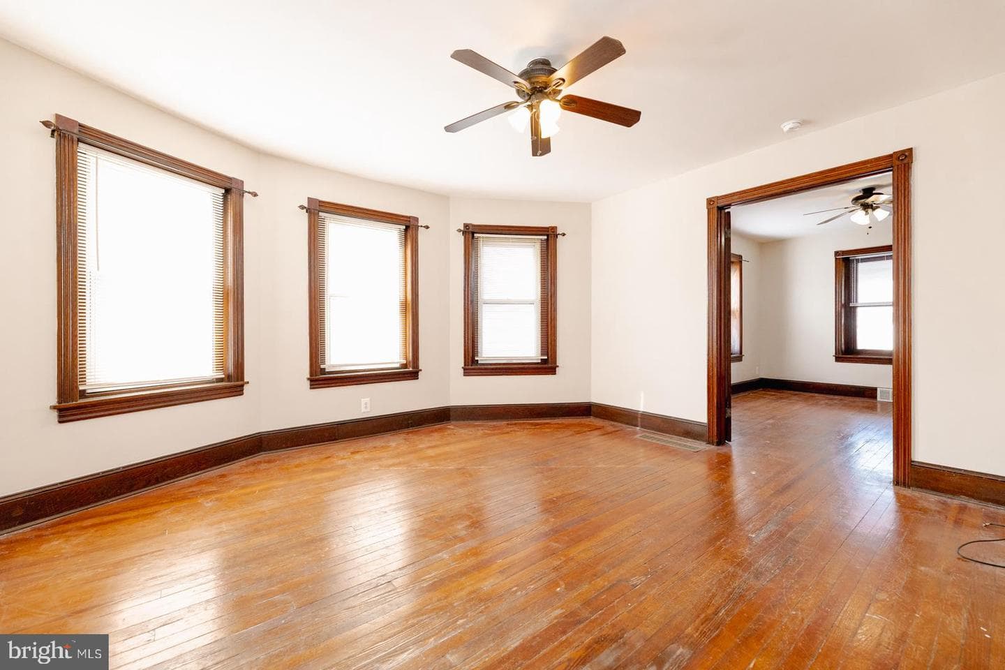 7111 Rising Sun Avenue photo 5