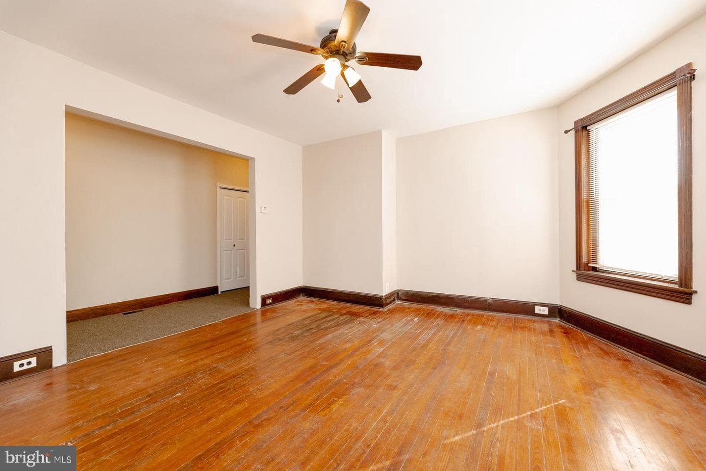7111 Rising Sun Avenue photo 7