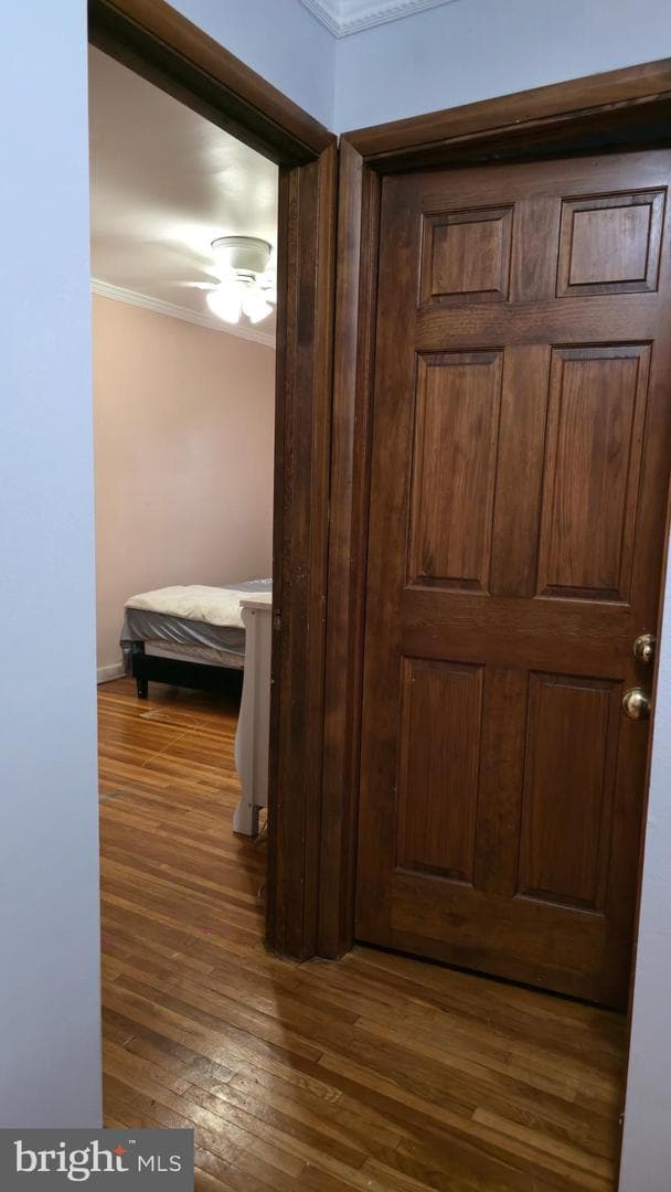 3113 Disston Street photo 18