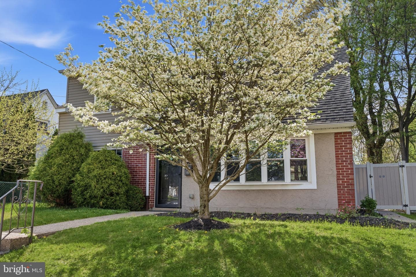 369 Livezey Street photo 33