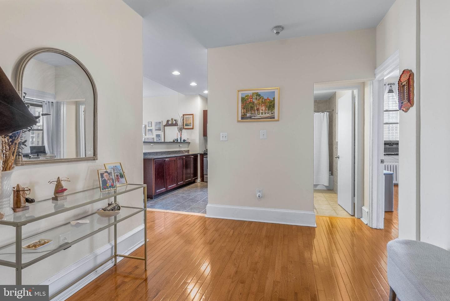 250 S 13th Street #11e photo 3