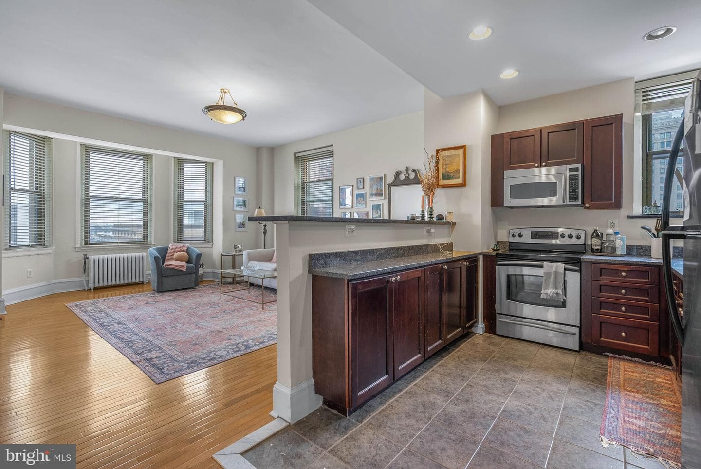 250 S 13th Street #11e photo 5