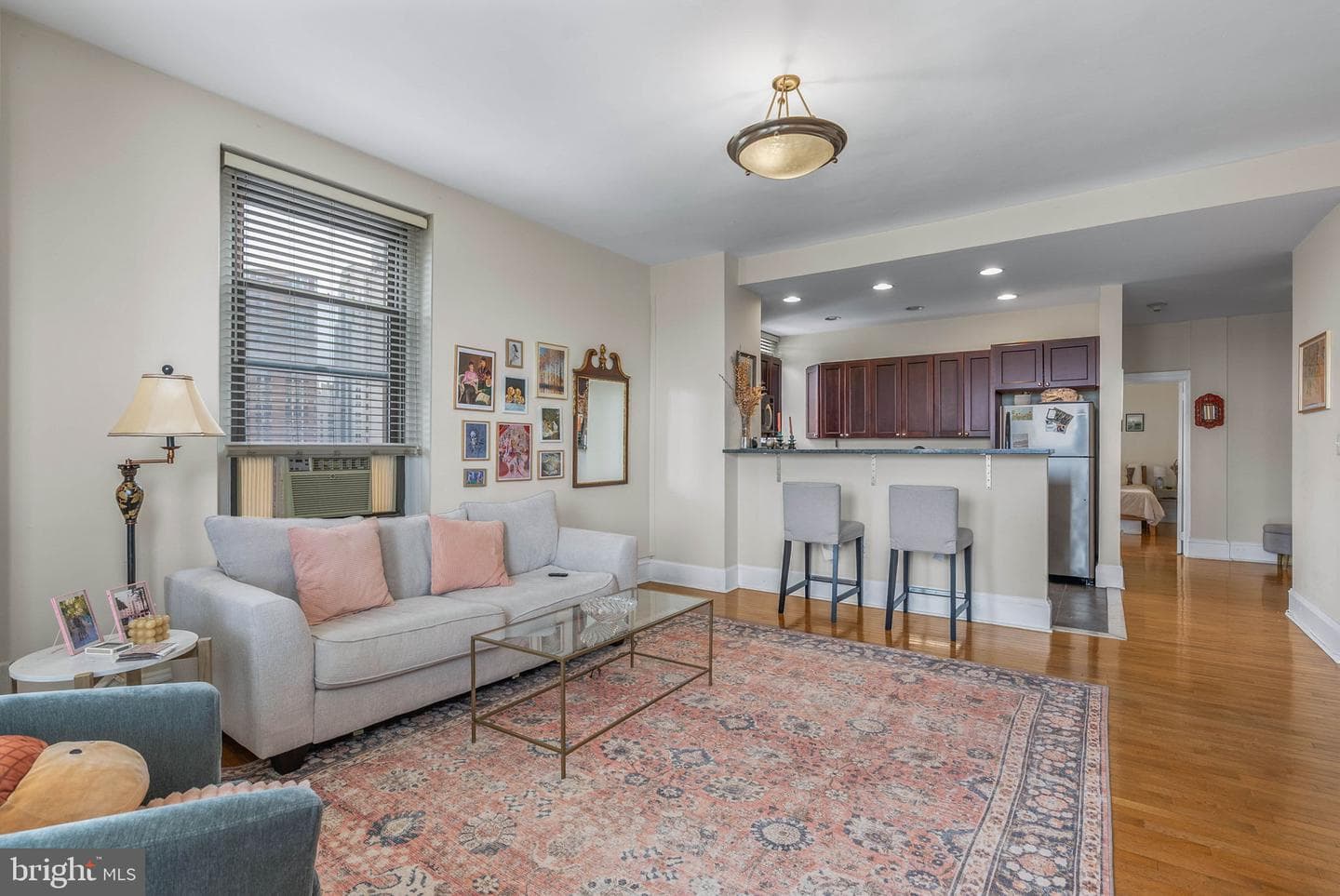 250 S 13th Street #11e photo 8
