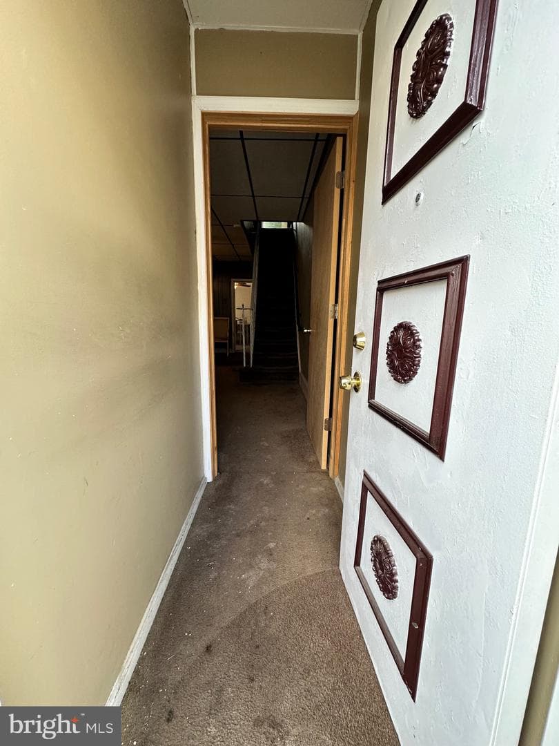 3043 Coral Street photo 4