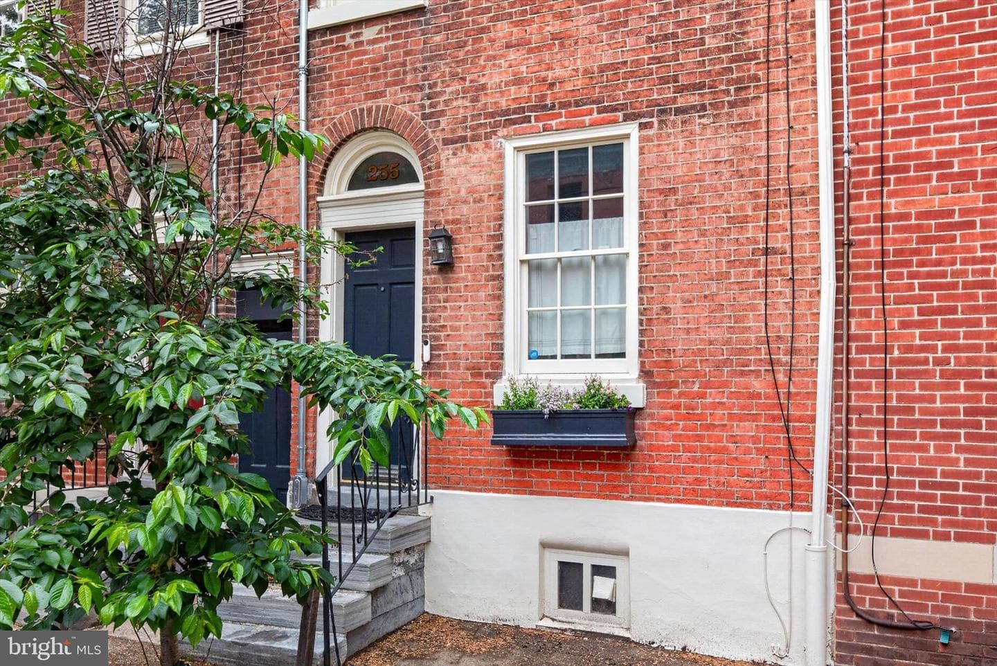255 Queen Street photo 5