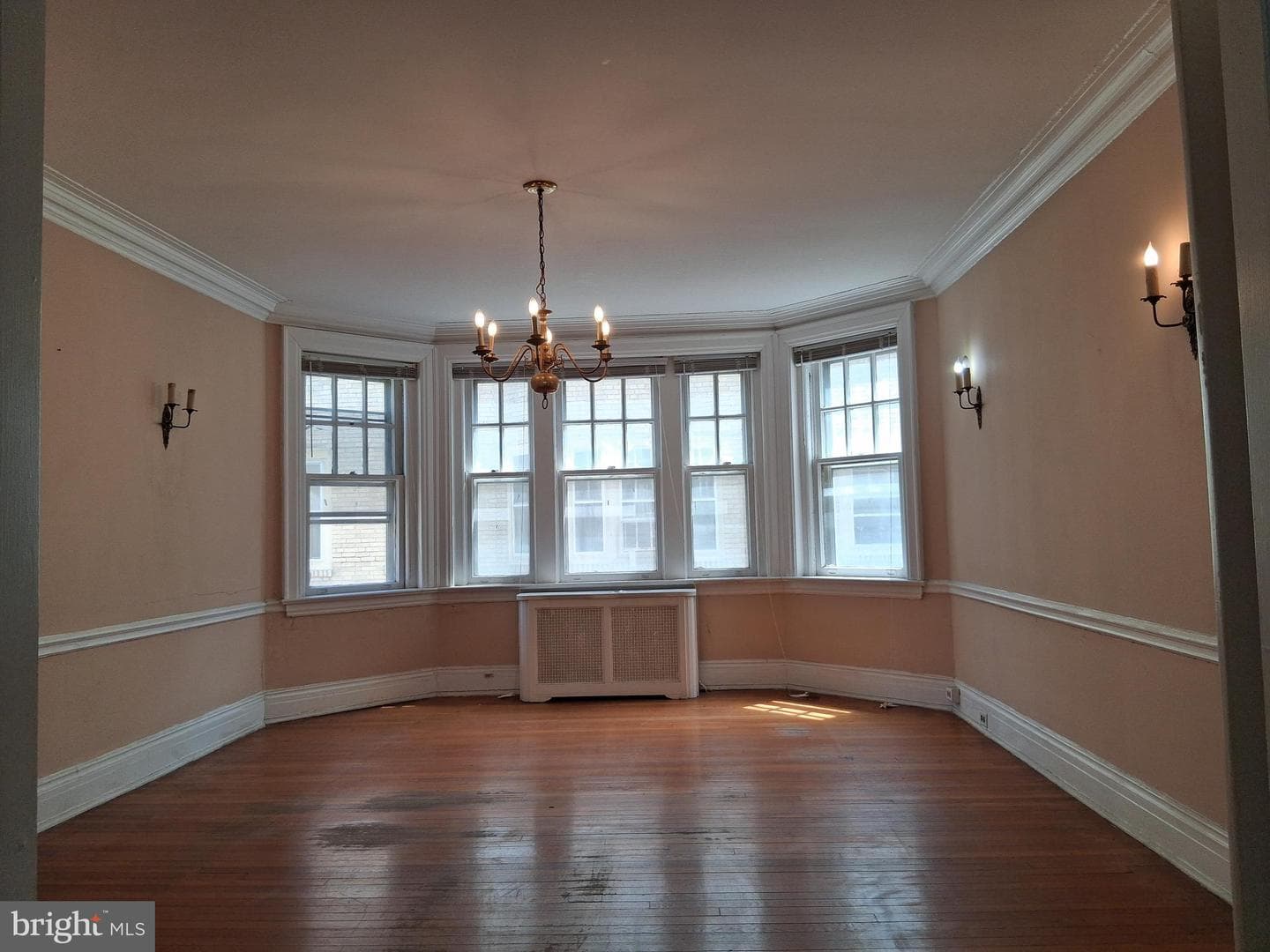4631 Pine Street #e510 photo 5