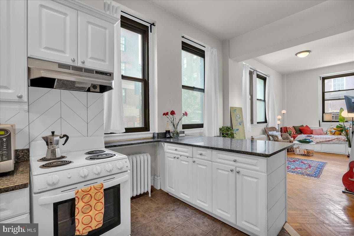 250 S 13th Street #1d photo 14