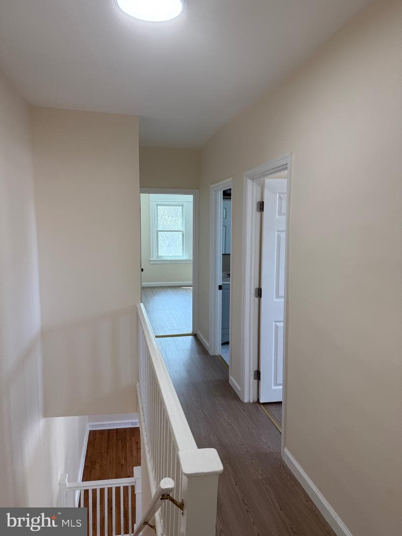 825 Rhawn Street photo 30