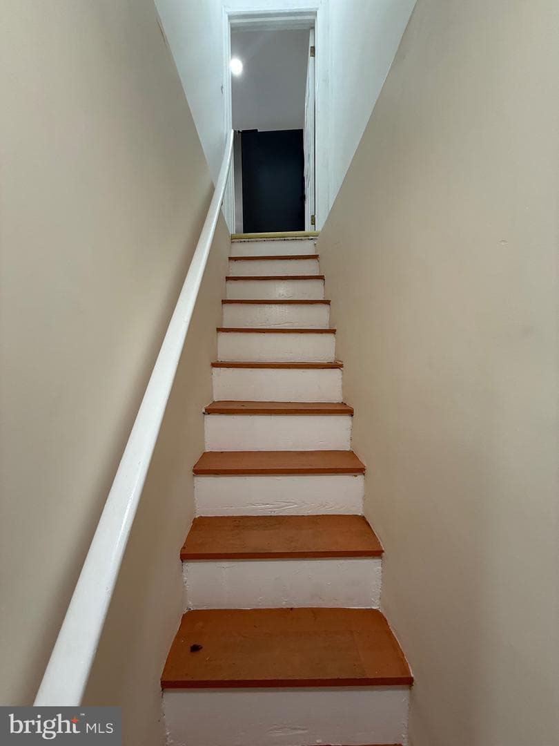 825 Rhawn Street photo 45