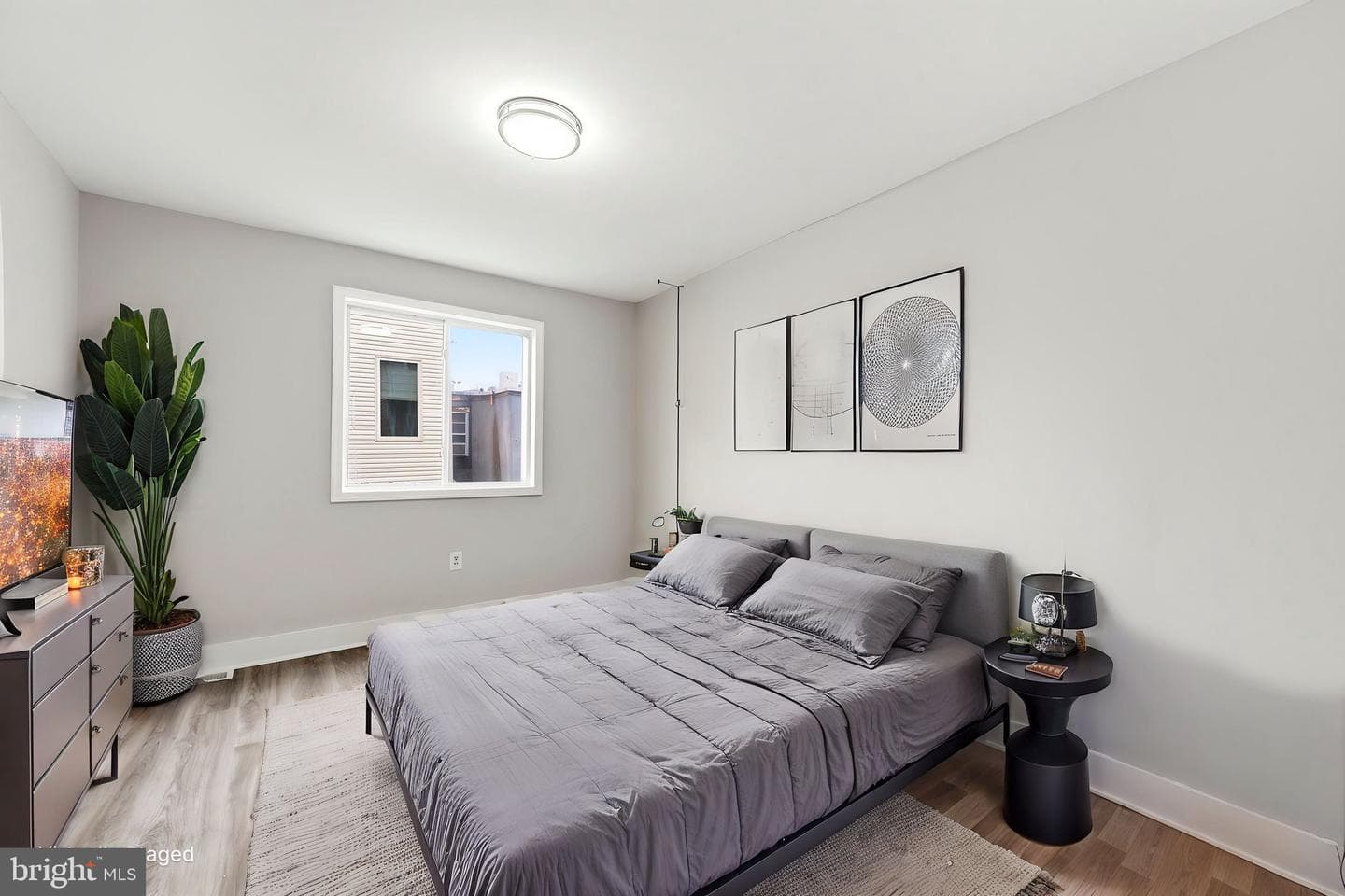 2115 Reed Street photo 17