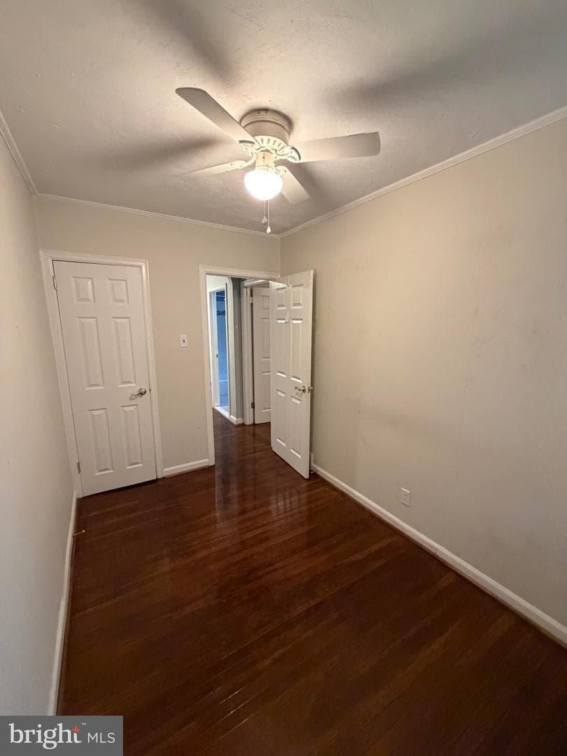 7625 Thouron Avenue photo 24