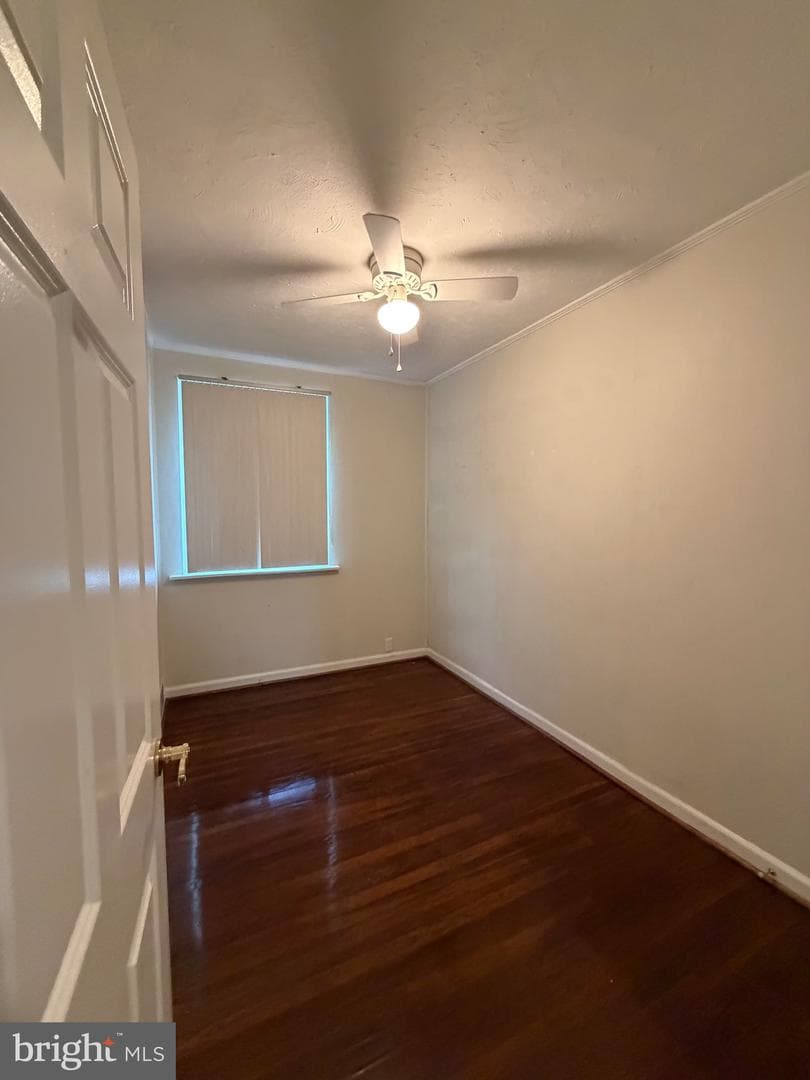 7625 Thouron Avenue photo 25