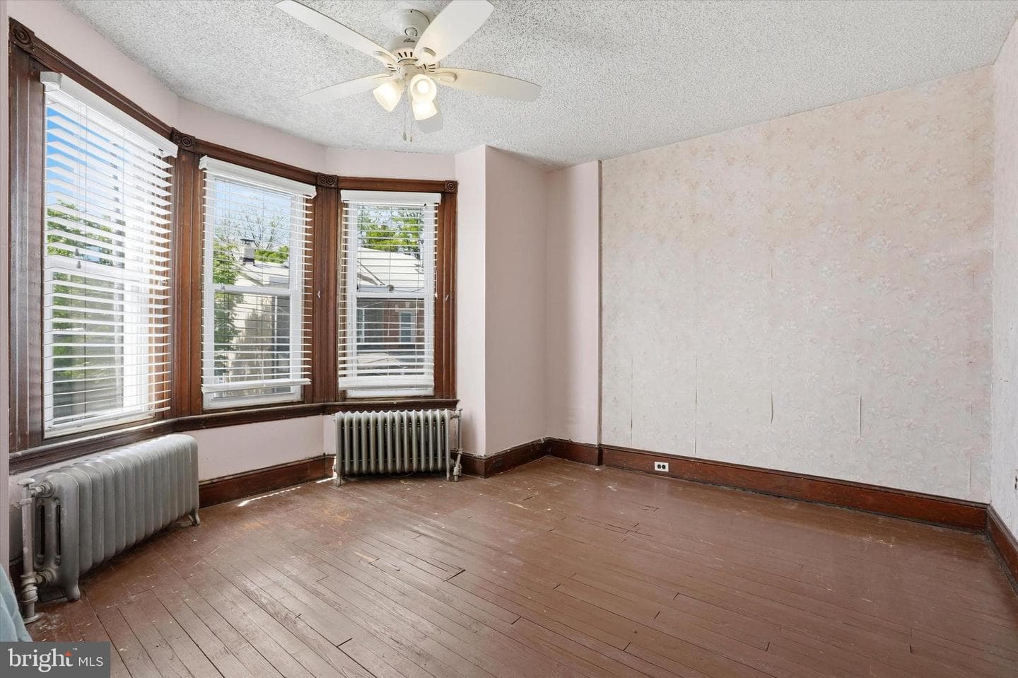 255 Dupont Street photo 18