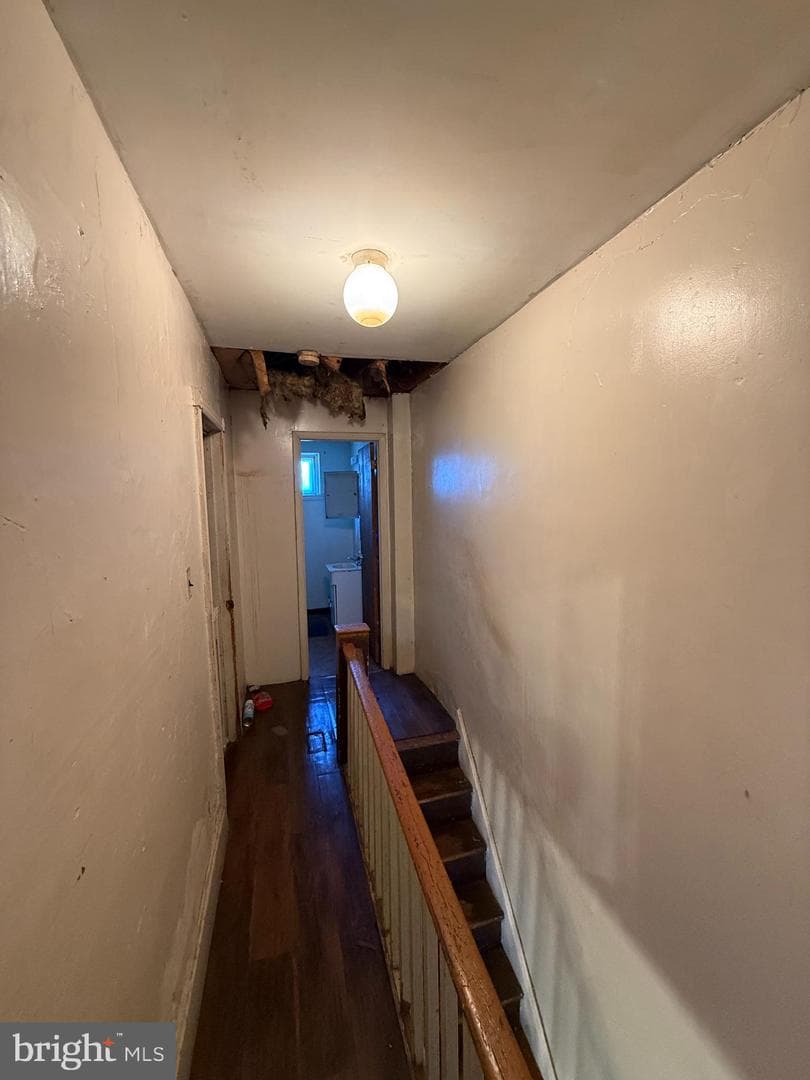 2719 Sears Street photo 8