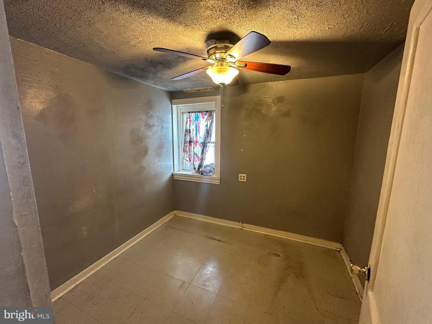 3607 Rhawn Street photo 10