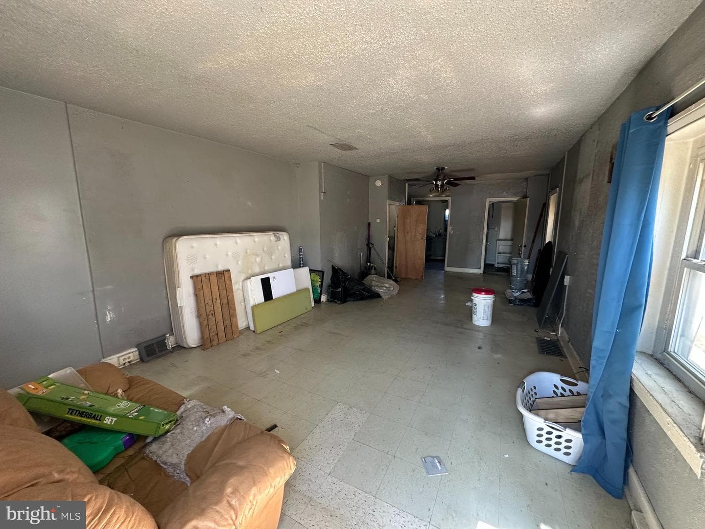 3607 Rhawn Street photo 2