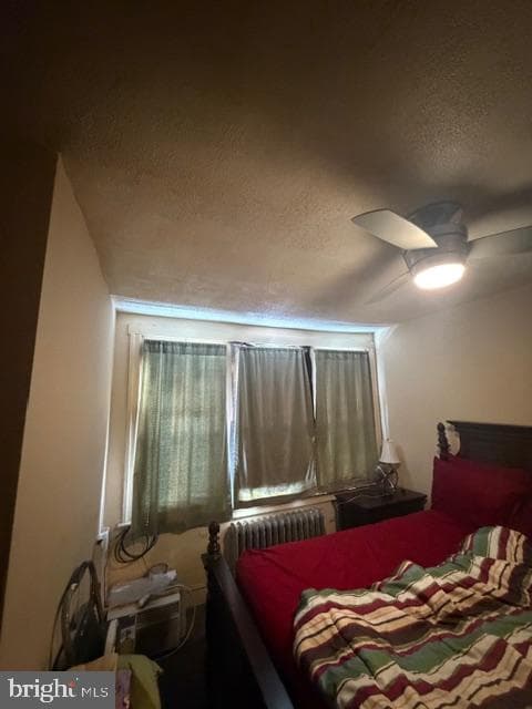 895 Marcella Street photo 24
