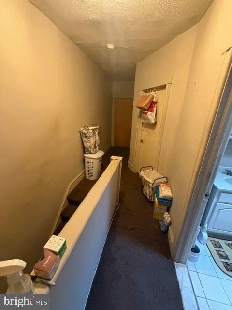 895 Marcella Street photo 26