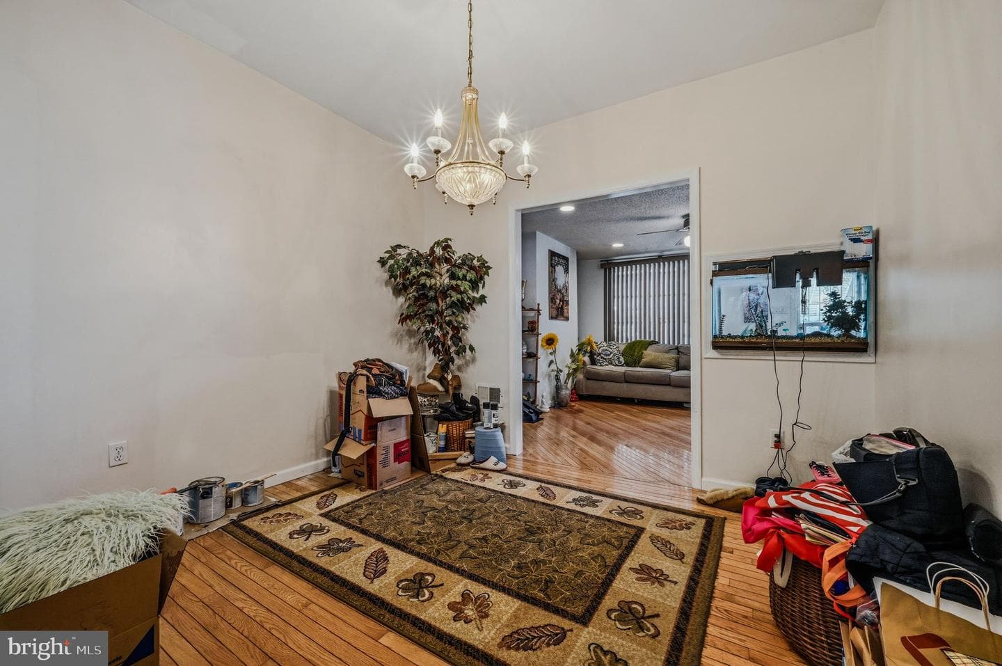 5217 Delancey Street photo 14