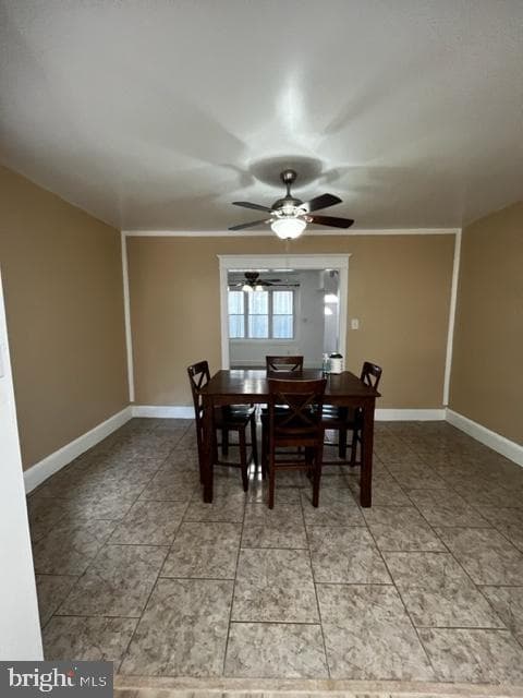 4249 N 9th Street photo 19