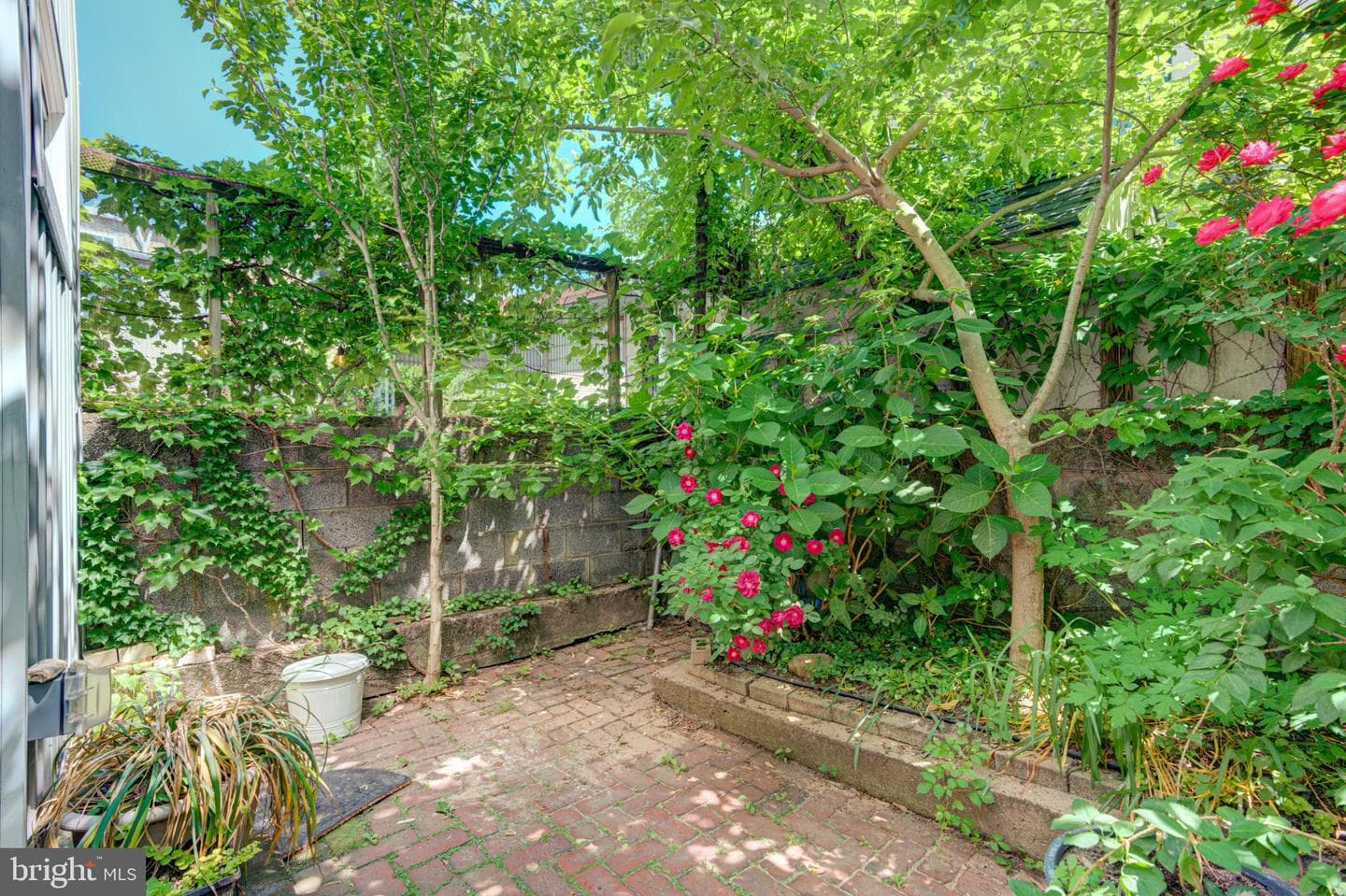 2329 E Fletcher Street photo 25