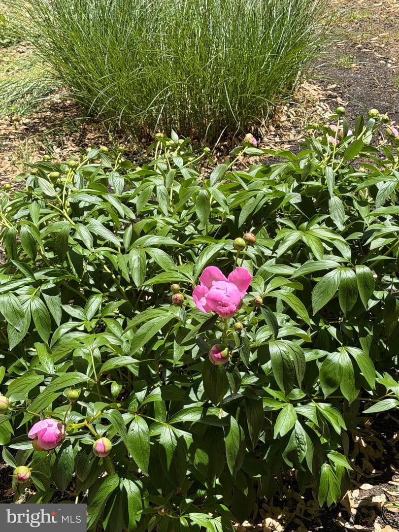 9033 Lykens Lane photo 31