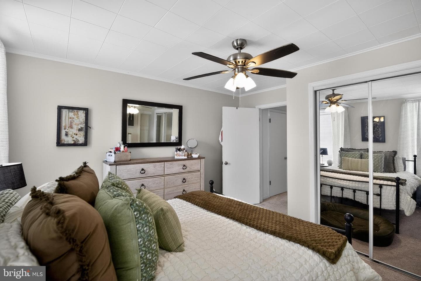 259 Lauriston Street photo 17